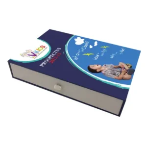 Prospectus Boxes Bulk