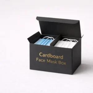 Cardboard Face Mask Box (2)
