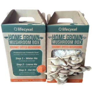 Custom Mushroom Box Bulk