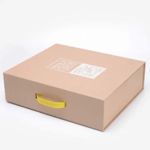 Custom Suitcase Box bulk