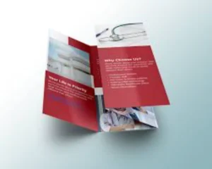 Double Parallel Brochure
