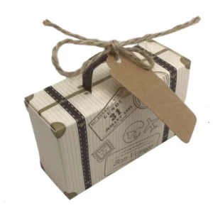 Eco Friendly Suitcase Box bulk
