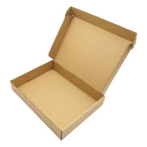 cardboard-mailing-box (1)