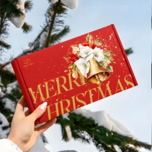 christmas-mailer-box (3)