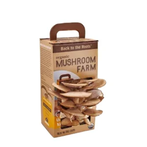 custom-printed-mushroom-packaging (1)
