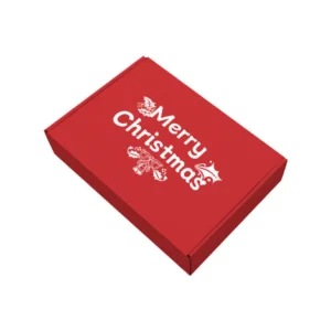decorative-christmas-box (1)