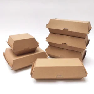 disposable-burger-box (1)