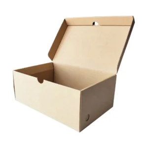 footwear-box (1)