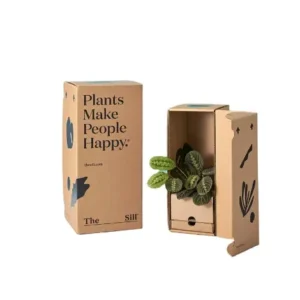 hemp-flower-display-box (2)