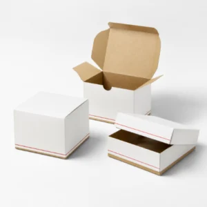 paper-box-manufacturers (1)