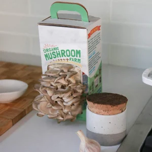 personalized-mushroom-boxes (1)