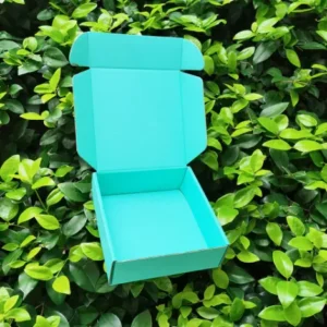 recyclable-cardboard-box (6)