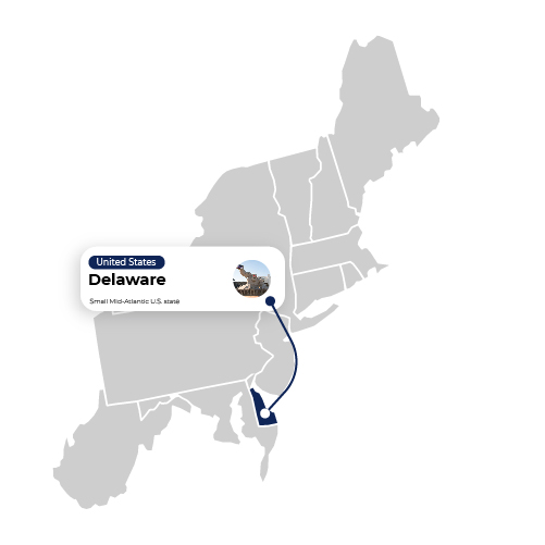 Delaware-state