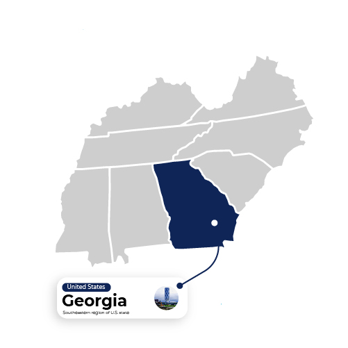 Georgia-state